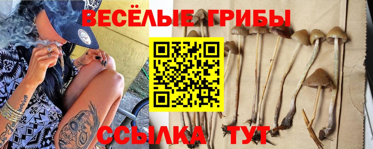 Галлюциногенные грибы MAGIC MUSHROOMS  Вход с VPN  Клин 