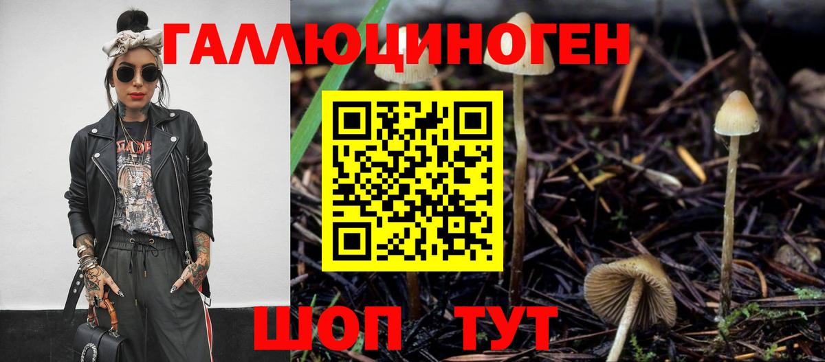 Псилоцибиновые грибы Psilocybine cubensis Клин